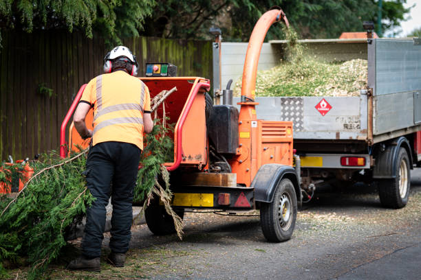 Best Tree Health Inspection  in Vale, OR